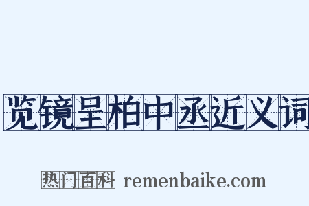览镜呈柏中丞近义词是什么意思的图片